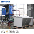 Factory price 6 ton tube ice machine for food standards